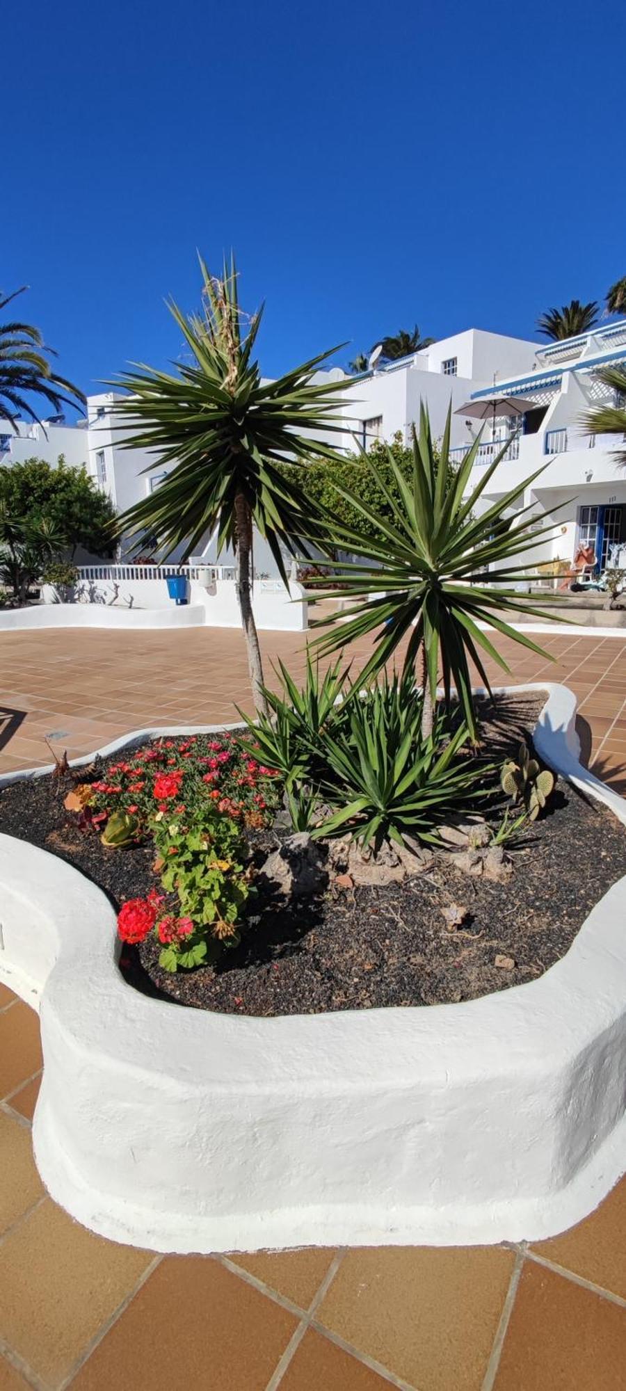 Oasis Azul, Vista Oceano. Apartment Puerto del Carmen (Lanzarote)